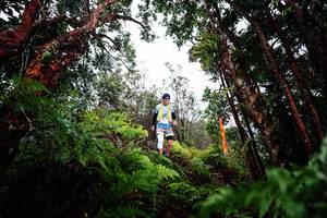 BIB: 
                            <button type="button" onclick="openModal(26203236)" class="btn btn-primary btn-sm float-right btn-popup" data-toggle="modal" data-target=".modal-high-quality">
                        <i class="fas fa-shopping-cart"></i> Add to Cart
                    </button>
                                            <button type="button" onclick="isThisMe(26203236, true)" class="btn btn-success btn-sm float-right btn-popup btn-isme hidden" data-toggle="tooltip" data-placement="bottom" title="นี่คือรูปของคุณใช่ไหม คลิกที่นี่เพื่อเอาเข้าอัลบั้ม">
                        <i class="fas fa-plus"></i> Add to album
                    </button>
                    <button type="button" onclick="isThisMe(26203236, false)" class="btn btn-warning btn-sm float-right btn-popup btn-isnotme hidden">
                        <i class="fas fa-ban"></i> Remove from album
                    </button>